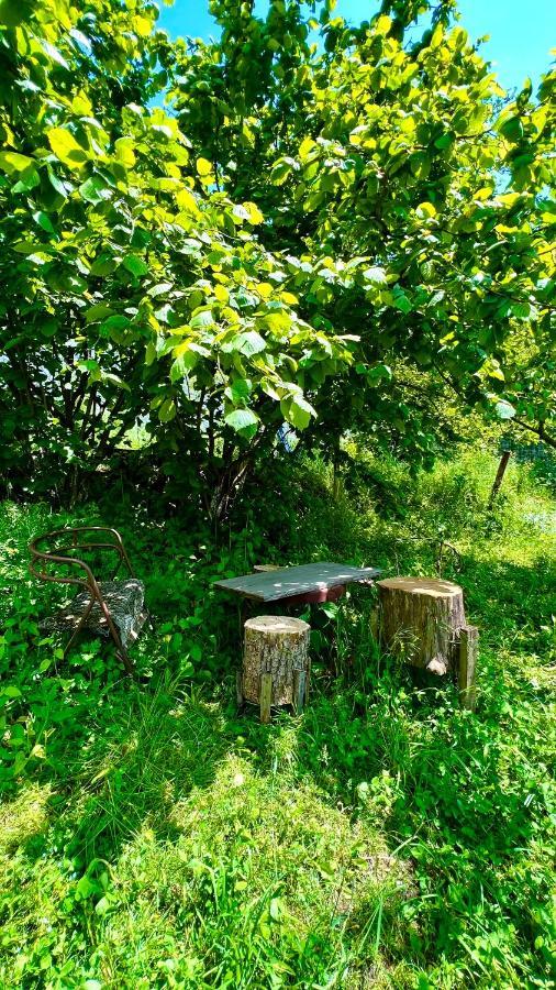 Mountain Top Getaway In Dilijan! Eksteriør billede